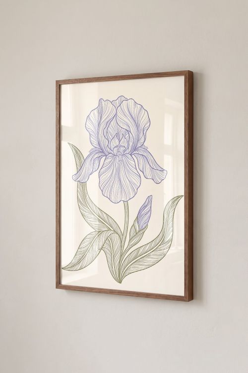 Premium Poster, Delicate Iris Bloom