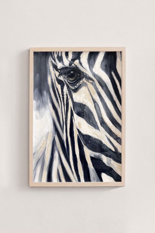 Premium Poster, Zebra Eye Gaze
