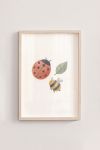 Premium Poster, Sweet Garden Friends