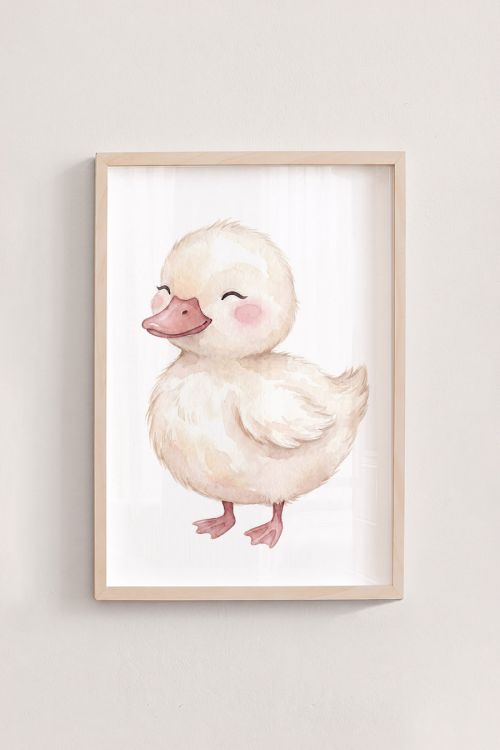 Premium Poster, Sweet Little Duckling