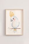 Premium Poster, Sweet Cockatoo Perch