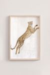 Premium Poster, Leaping Cheetah Grace