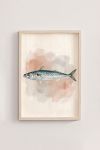 Premium Poster, Ocean Mackerel Vintage Art