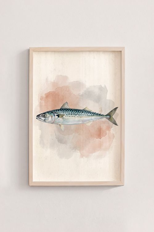 Premium Poster, Ocean Mackerel Vintage Art