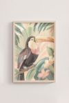 Premium Poster, Tropical Toucan Serenity
