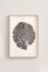 Premium Poster, Fungal Fan Linocut
