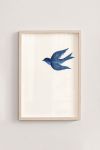 Premium Poster, Indigo Flight