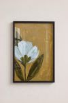 Premium Poster, Golden Bloom