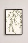 Premium Poster, Graceful Willow Boughs