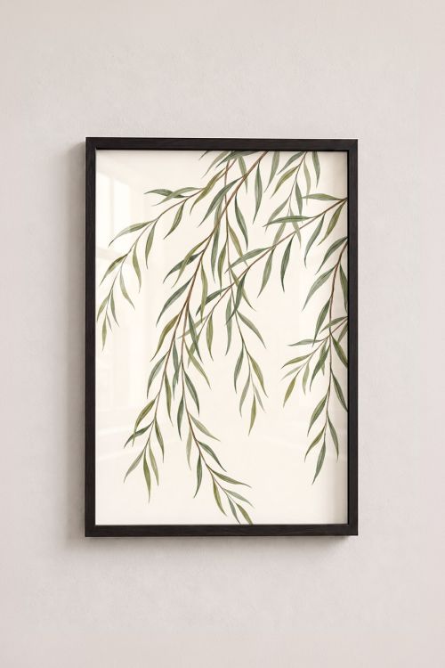 Premium Poster, Graceful Willow Boughs
