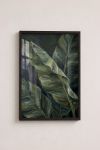 Premium Poster, Jungle Serenade