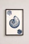 Premium Poster, Nautilus Ocean Whisper