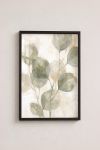 Premium Poster, Soft Eucalyptus Sway