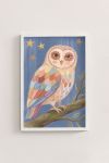 Premium Poster, Starry Eyed Owl