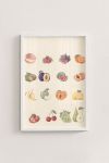 Premium Poster, Garden Fresh Harvest