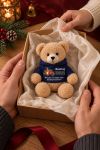 christougenniatiko-arkoudaki-me-ektipwsi-gia-mpampa-dad-christmas-magic-mple-0014-1.jpg