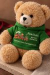 christougenniatiko-arkoudaki-me-ektipwsi-gia-mwro-first-christmas-toy-train-prasino-0004-1.jpg