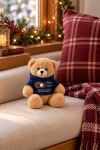 christougenniatiko-arkoudaki-me-ektipwsi-gia-nona-christmas-love-godmother-mple-0009-1.jpg