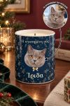 premium-keri-cutout-prosopo-kidemonas-gatas-to-asteri-toy-cheimona-0106-1.jpg