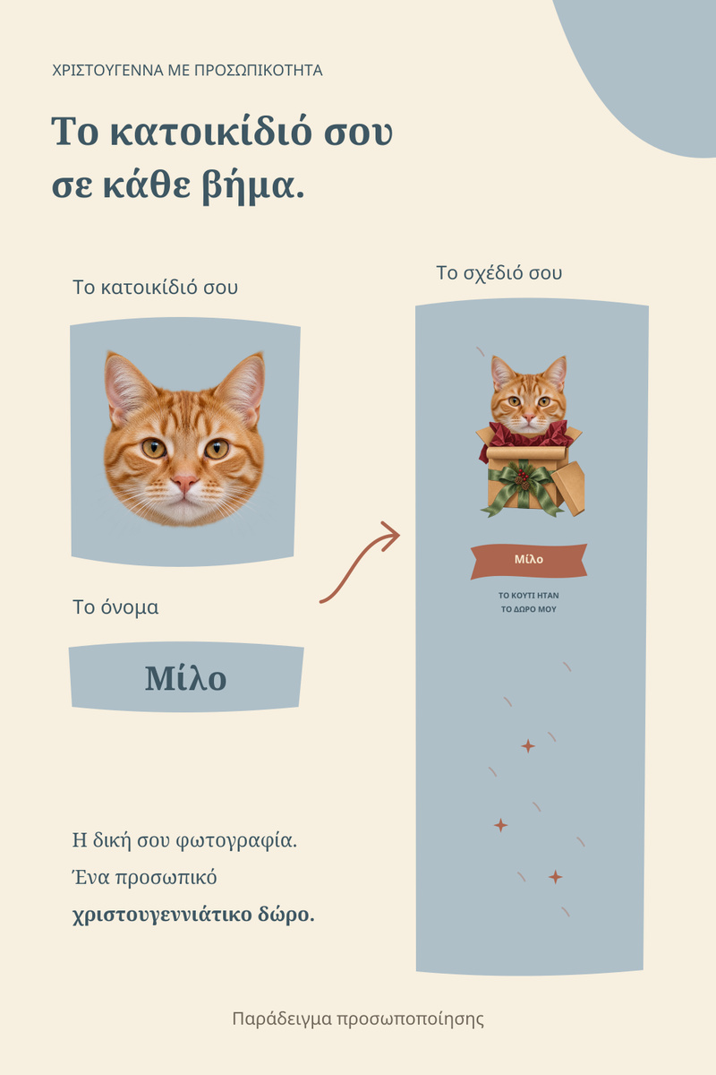 xristougenniatikes-kaltses-gata-se-kouti-dorou-me-prosopo-galazio-0045-3.jpg