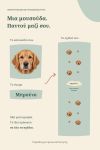 xristougenniatikes-kaltses-motivo-prosopou-skylou-me-lixoudies-menta-0042-1.jpg